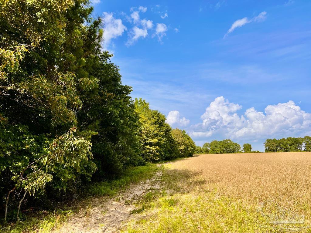 17 Mineral Springs Road Jay, FL 32565 - Photo 22 of 24