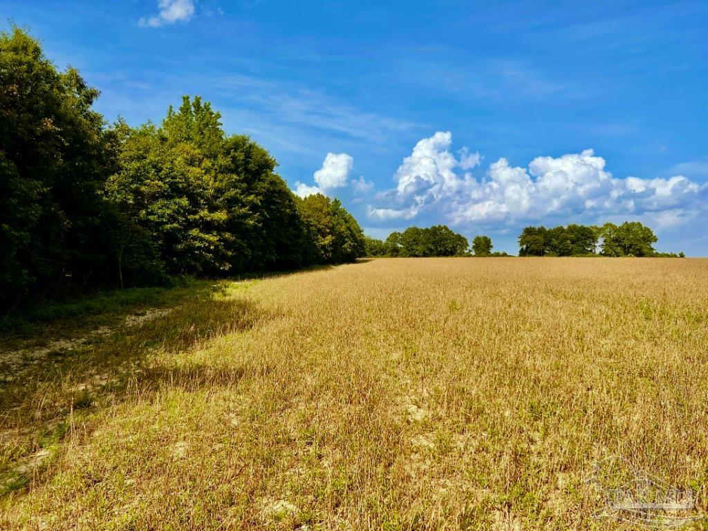 17 Mineral Springs Road Jay, FL 32565 - Photo 24 of 24