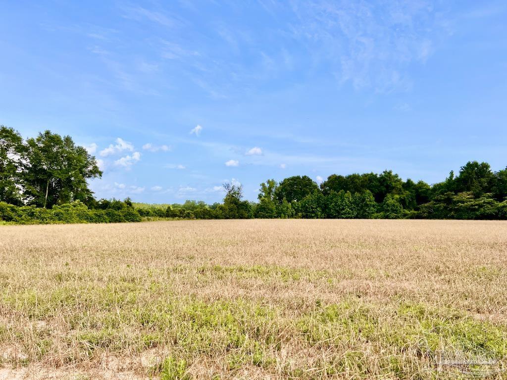 17 Mineral Springs Road Jay, FL 32565 - Photo 3 of 24