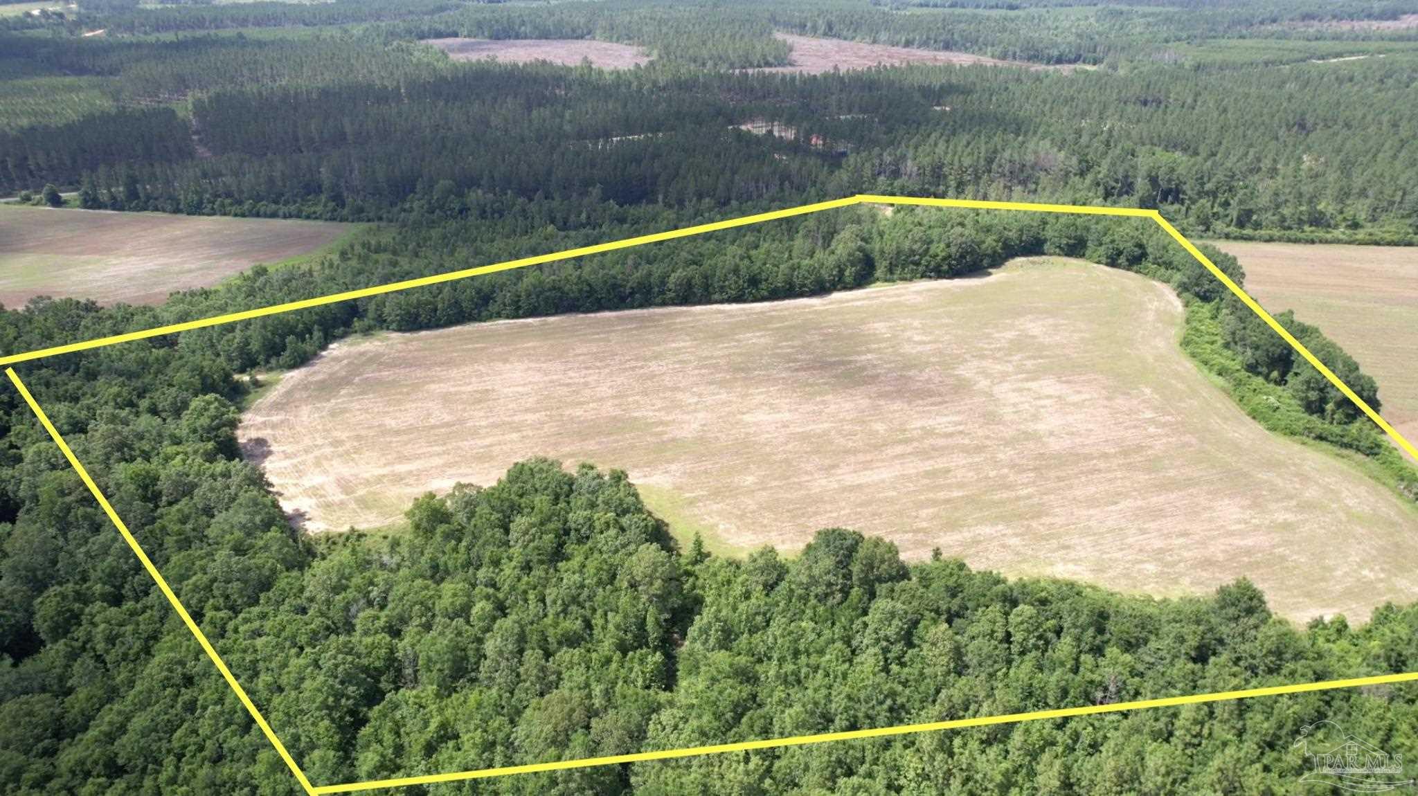 17 Mineral Springs Road Jay, FL 32565 - Photo 8 of 24