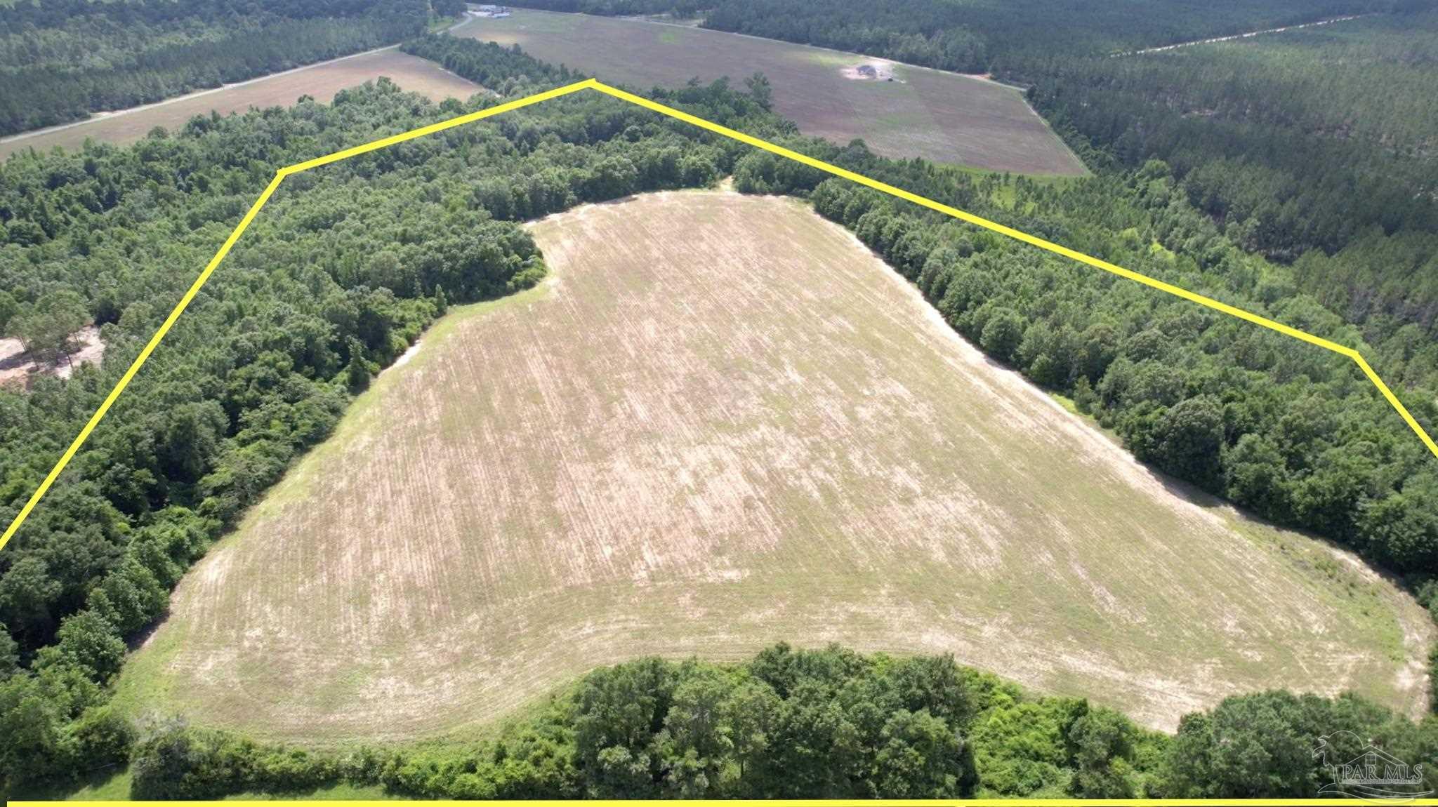17 Mineral Springs Road Jay, FL 32565 - Photo 10 of 24