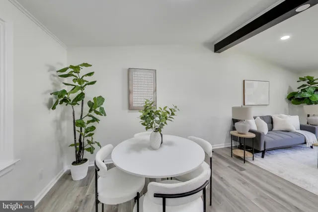 a living room with furniture a potted plant and a lamp