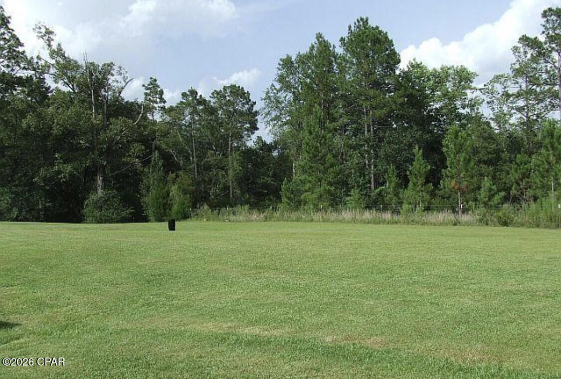 2778 Beall Packing Road Bonifay, FL 32425 - Photo 12 of 30