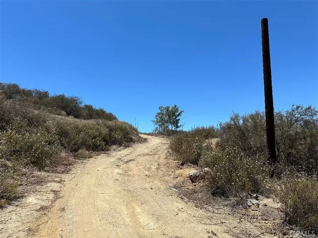 a view of a dry yard with a tree