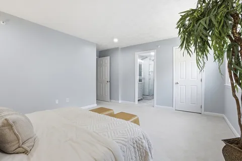 a spacious bedroom with a bed and a plant