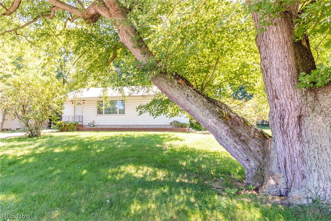 7858 Munson Road Mentor, OH 44060 - Photo 26 of 28 Gallery Image 26
