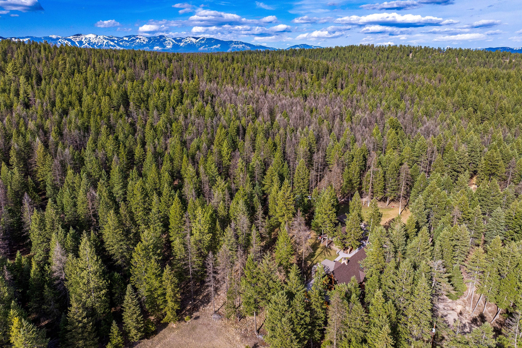 1085 K K M Ranch Road Whitefish, MT 59937 - Photo 76 of 79 Gallery Image 76