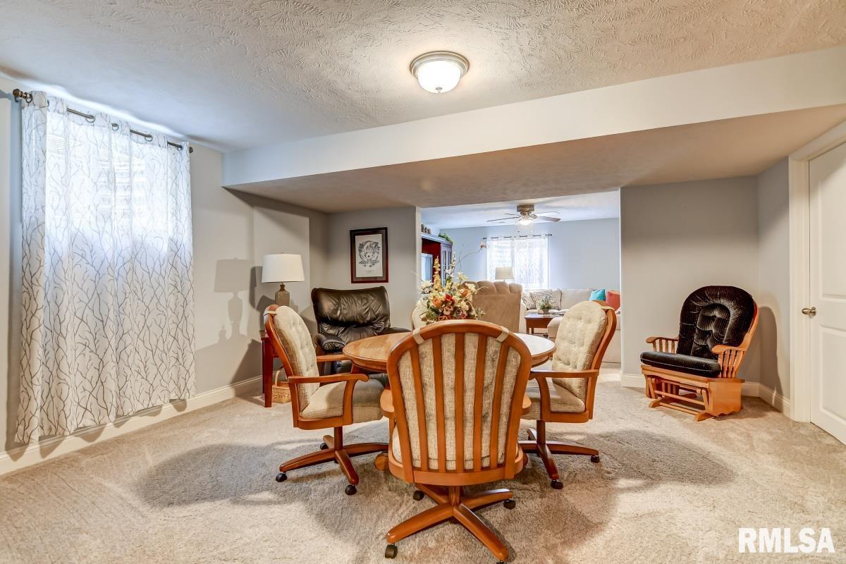 4827 Chestnut Drive Springfield, IL 62711 - Photo 30 of 41