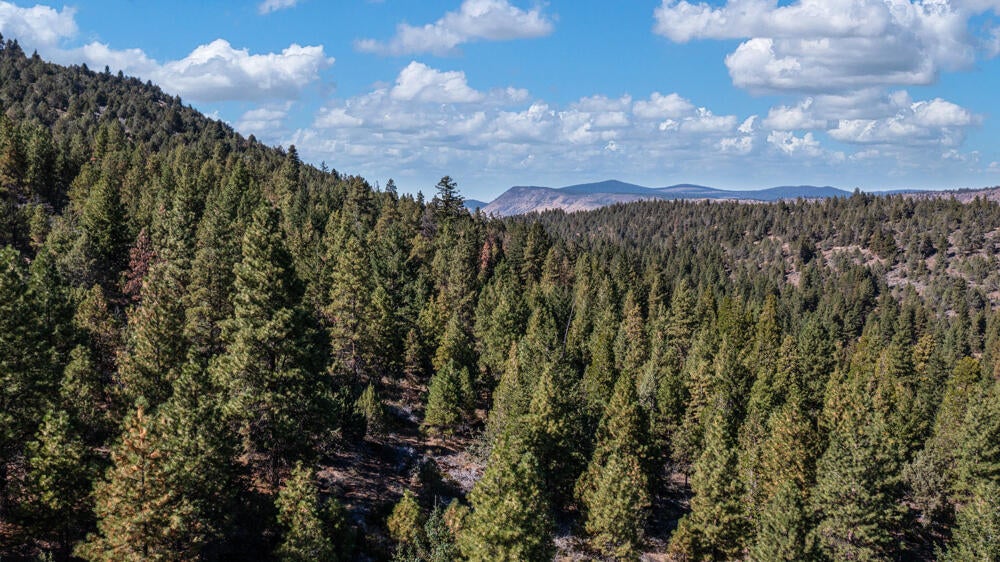 Lot 26 Simpson Canyon Road Klamath Falls, OR 97601 - Photo 30 of 33 SimpsonCanyonLand-26