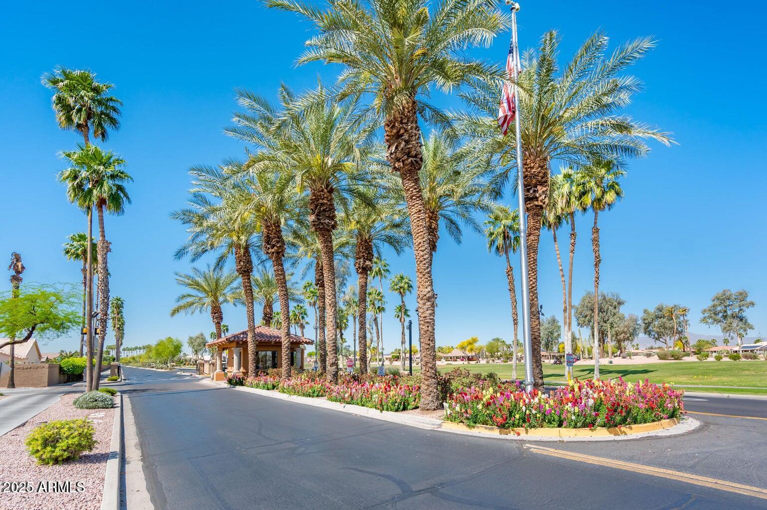15415 West Merrell Street Goodyear, AZ 85395 - Photo 32 of 33 a street view with potted plants and palm trees