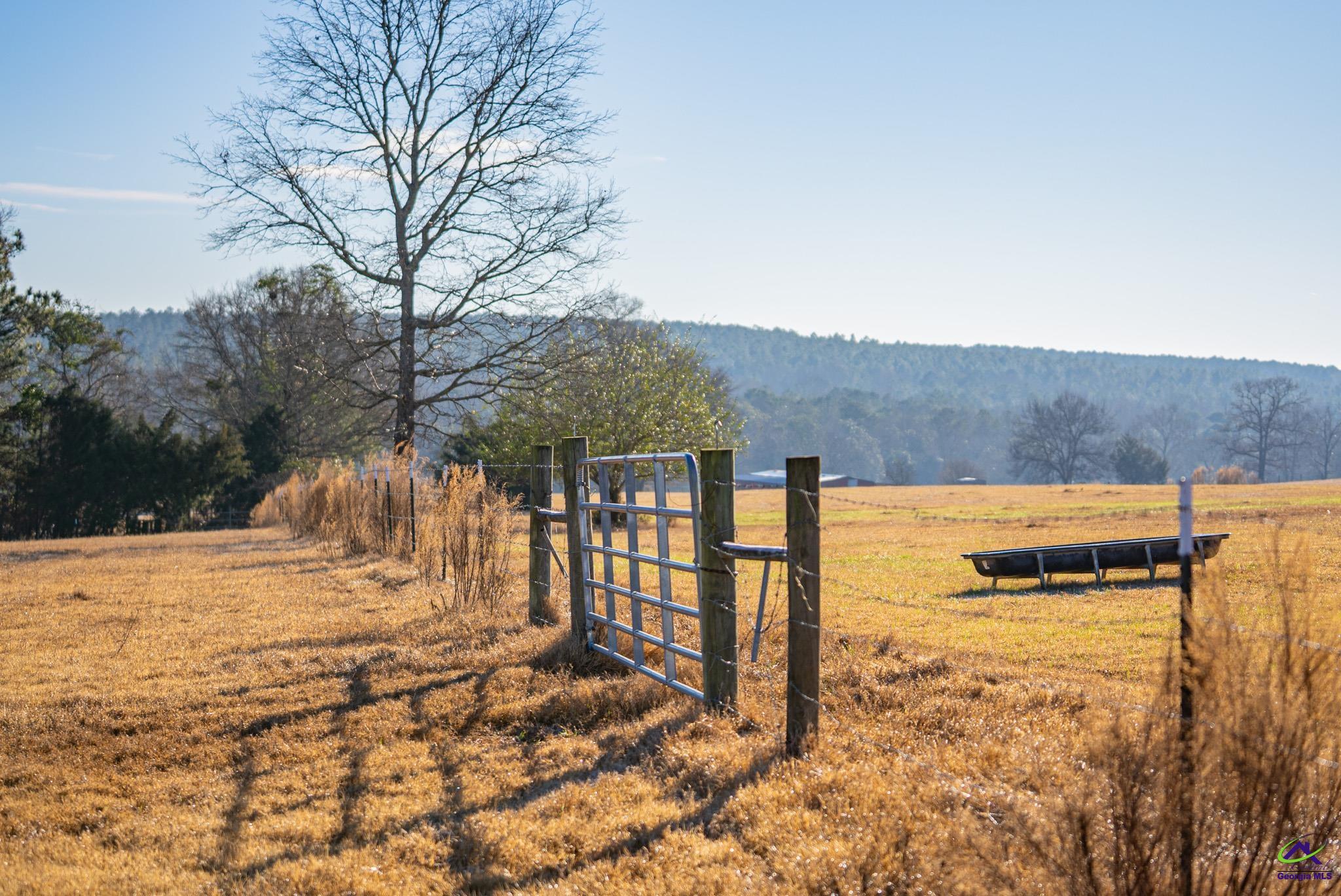 1092 Tommy Purvis Road Reynolds, GA 31076 - Photo 2 of 77