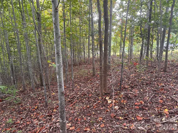 $45,000 | 311 Scenic Vista Drive, Unit 254, Nebo, NC 28761