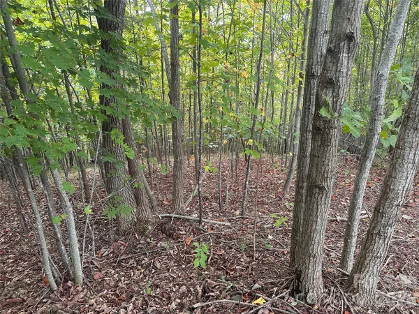 $45,000 | 311 Scenic Vista Drive, Unit 254, Nebo, NC 28761