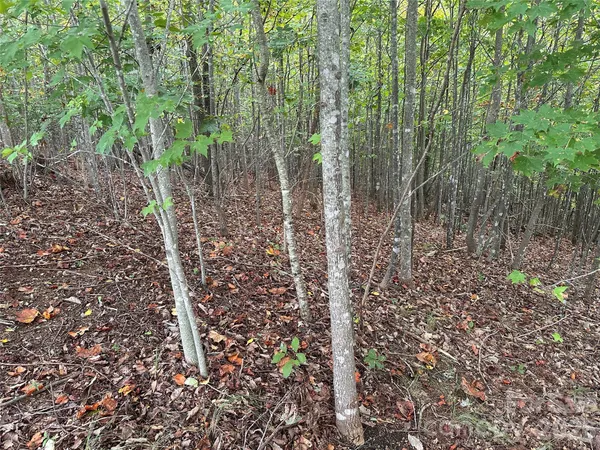 $45,000 | 311 Scenic Vista Drive, Unit 254, Nebo, NC 28761