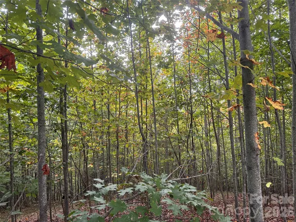 $45,000 | 311 Scenic Vista Drive, Unit 254, Nebo, NC 28761