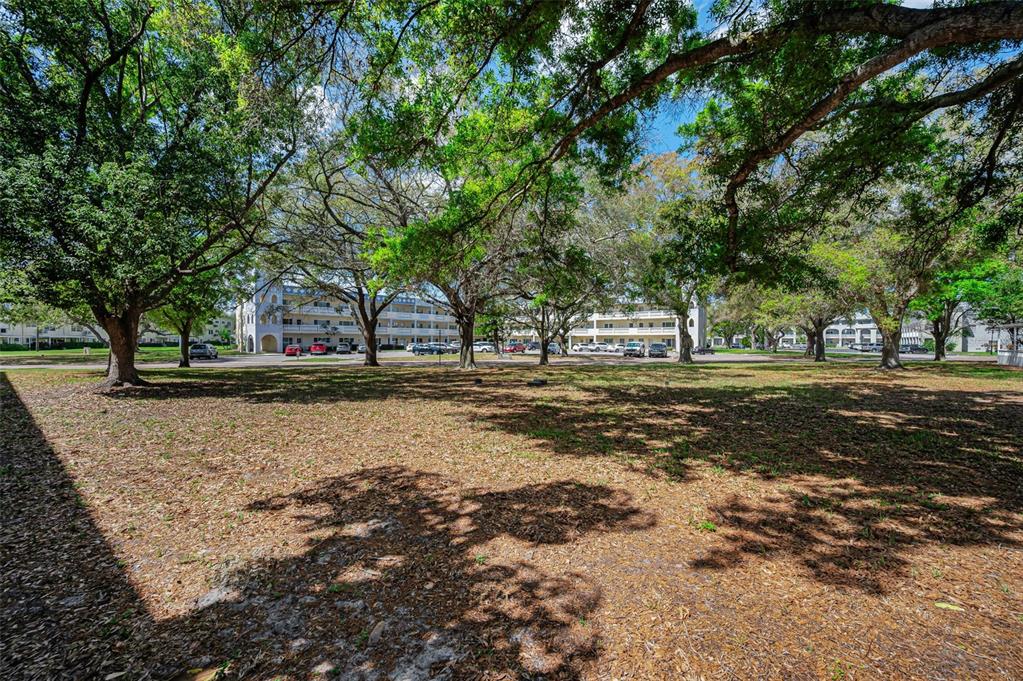 2260 Costa Rican Drive, Unit 6 Clearwater, FL 33763 - Photo 20 of 69