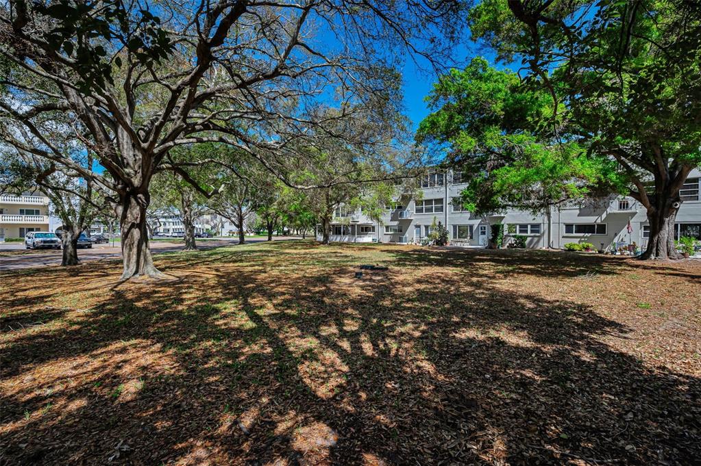 2260 Costa Rican Drive, Unit 6 Clearwater, FL 33763 - Photo 22 of 69