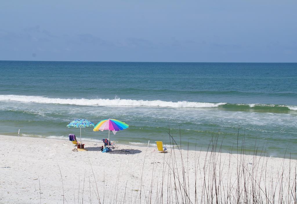 873 Jones Homestead Road Port St. Joe, FL 32456 - Photo 7 of 7
