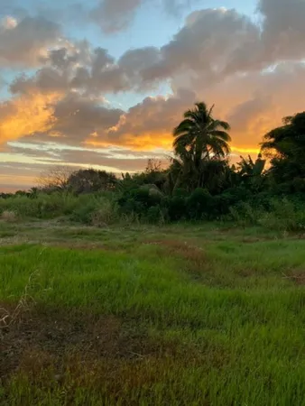 $275,000 | 1580 Lower Nahiku Road, Hana, HI 96713