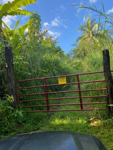 $275,000 | 1580 Lower Nahiku Road, Haiku, HI 96708