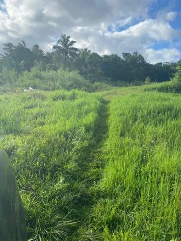 $275,000 | 1580 Lower Nahiku Road, Haiku, HI 96708