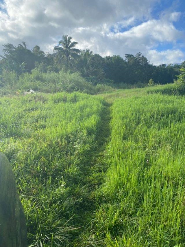 1580 Lower Nahiku Road Haiku, HI 96708 - Photo 3 of 9