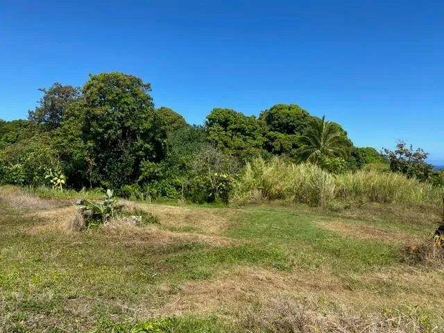 $275,000 | 1580 Lower Nahiku Road, Haiku, HI 96708