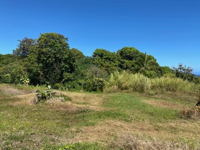 1580 Lower Nahiku Road Haiku, HI 96708 - Photo 4 of 9