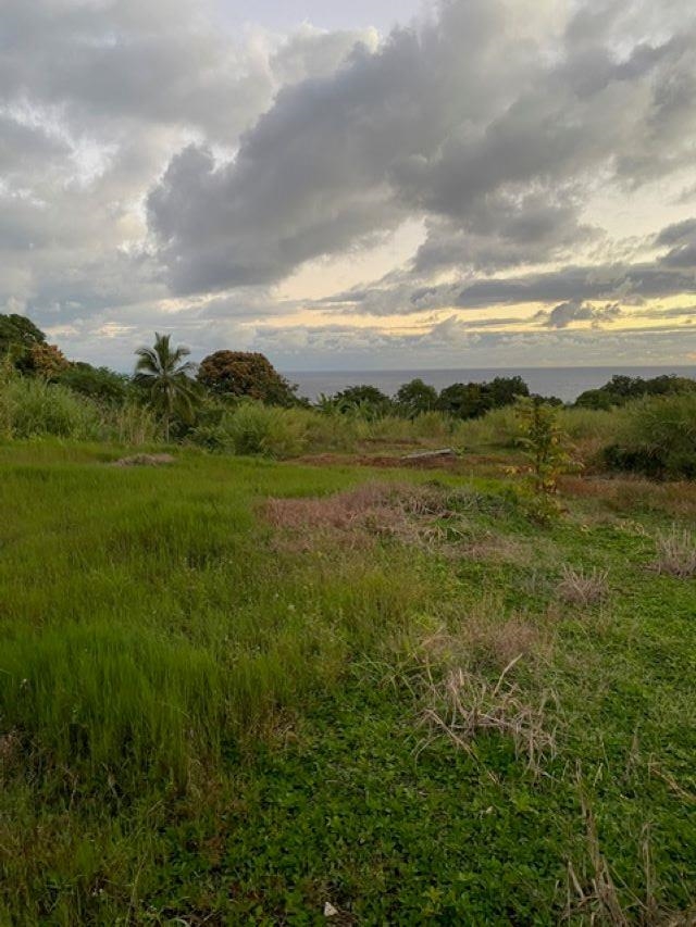 1580 Lower Nahiku Road Haiku, HI 96708 - Photo 6 of 9