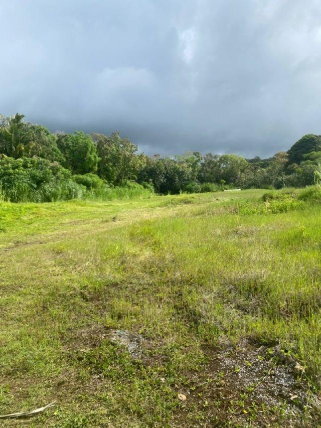 1580 Lower Nahiku Road Haiku, HI 96708 - Photo 7 of 9