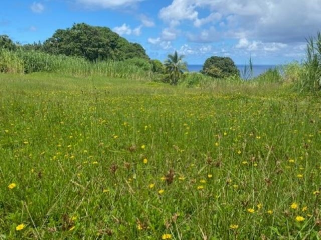 1580 Lower Nahiku Road Haiku, HI 96708 - Photo 8 of 9