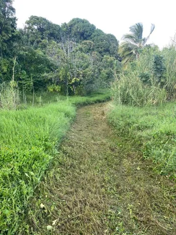 $275,000 | 1580 Lower Nahiku Road, Haiku, HI 96708