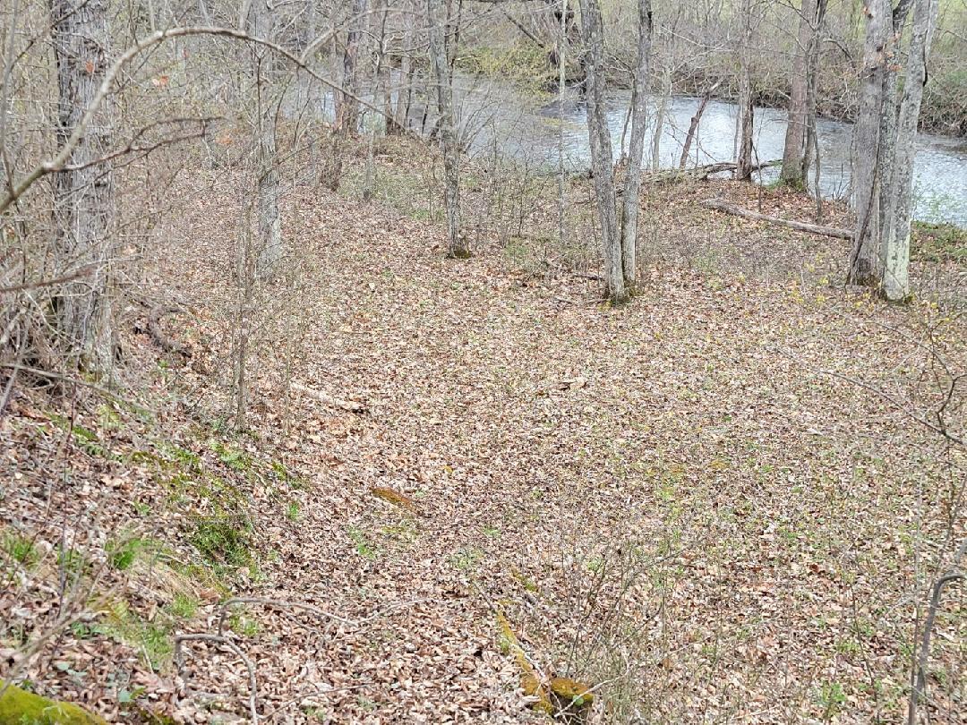 17 Homestead Road New Castle, VA 24127 - Photo 40 of 40 Resized952024040195160632951712785802098