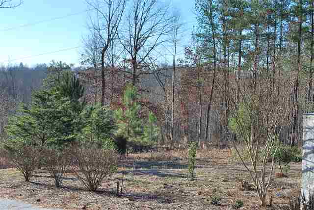 142 School Road, Unit LOT 1 Easley, SC 29640 - Photo 1 of 4