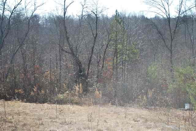 142 School Road, Unit LOT 1 Easley, SC 29640 - Photo 3 of 4
