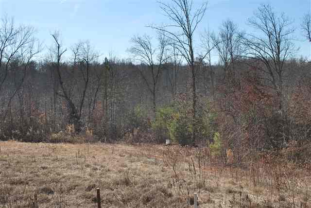 142 School Road, Unit LOT 1 Easley, SC 29640 - Photo 4 of 4