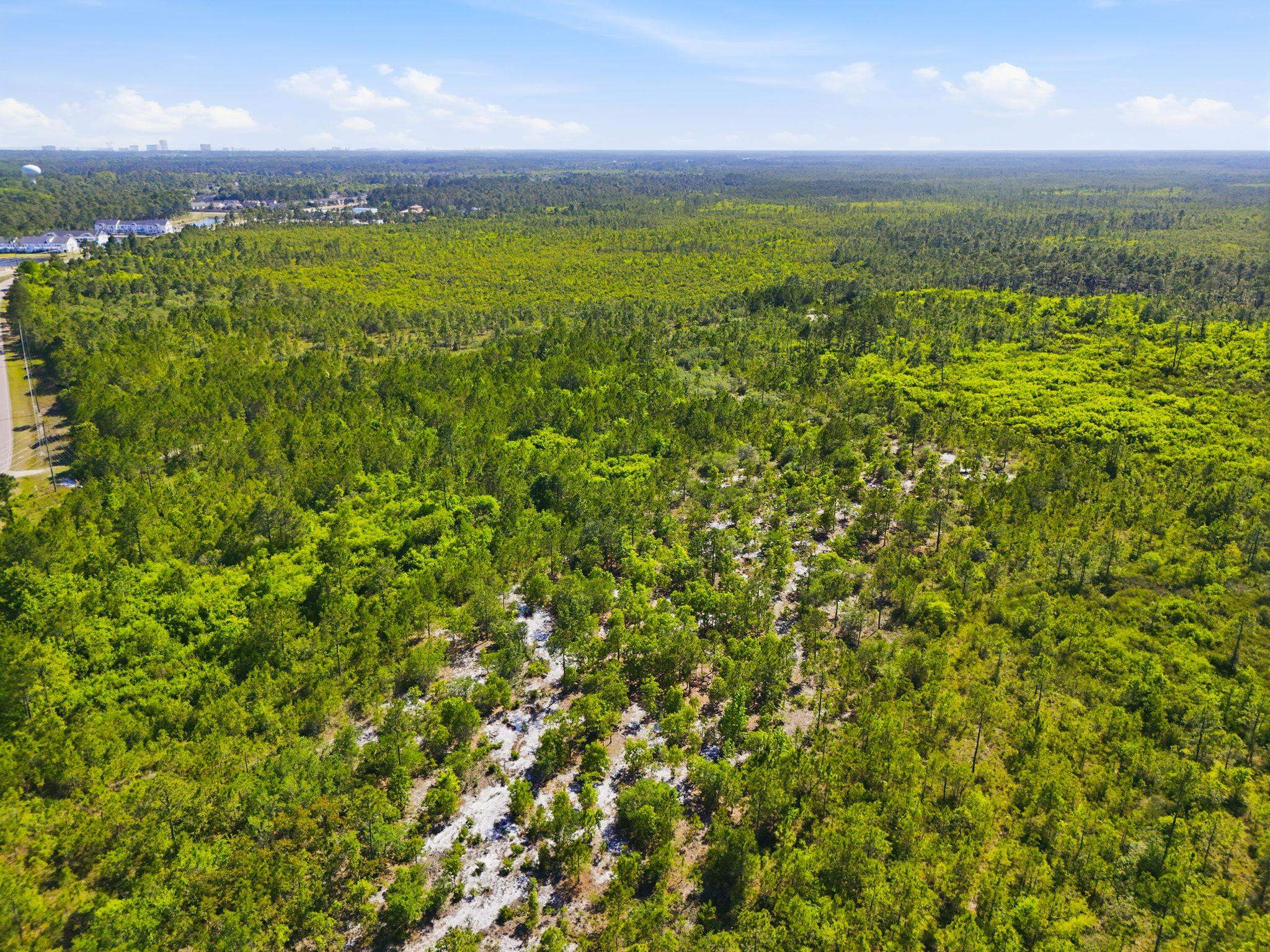 Tbd Water Tower Road Longs, SC 29568 - Photo 21 of 21