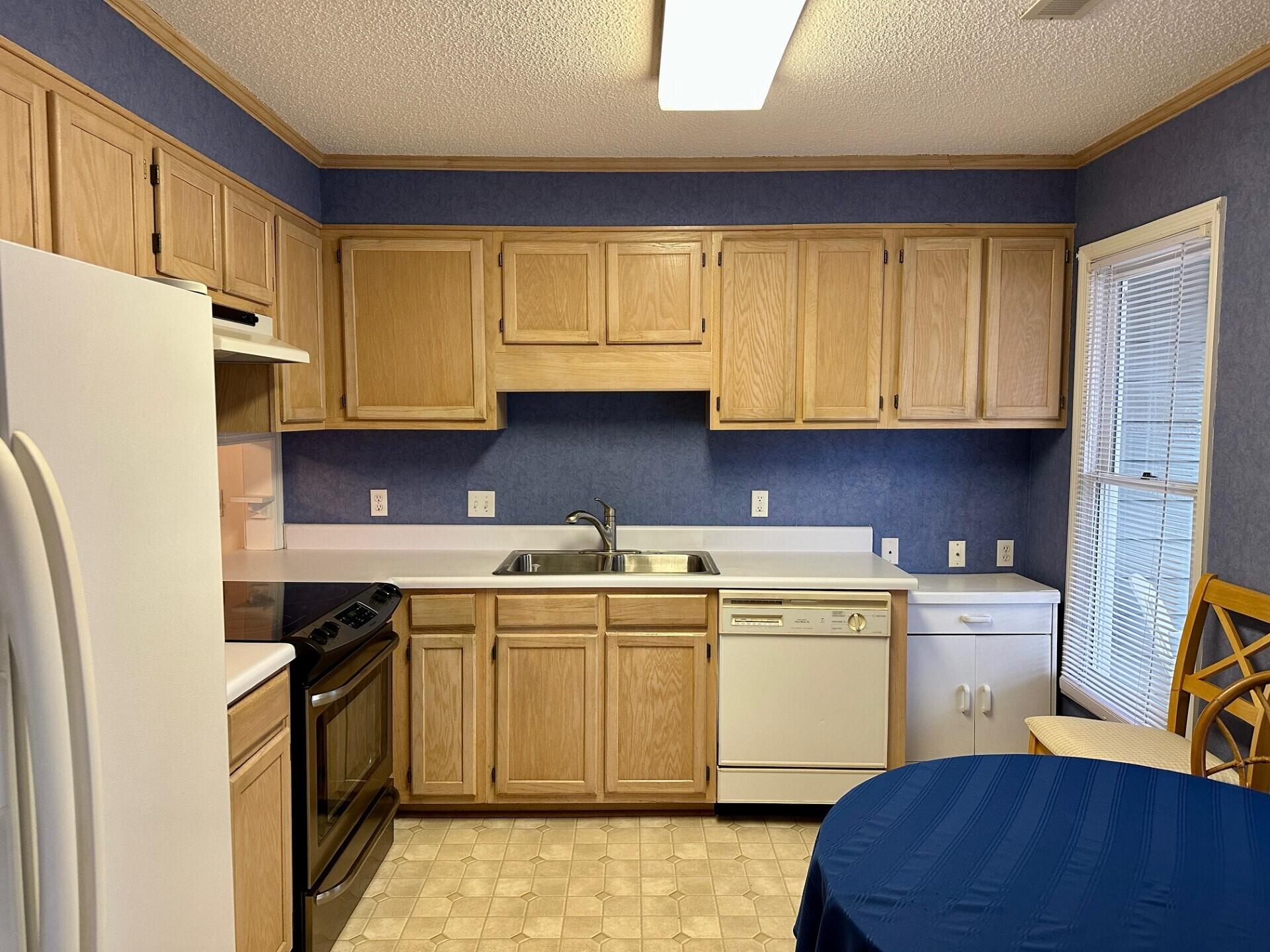 27 Peter Collinson Road Santee, SC 29142 - Photo 3 of 23 Kitchen