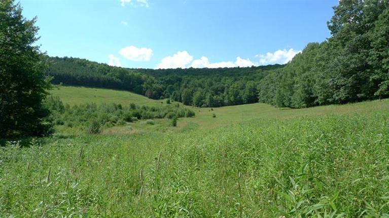 0 Knapp Road Schenevus, NY 12155 - Photo 1 of 1