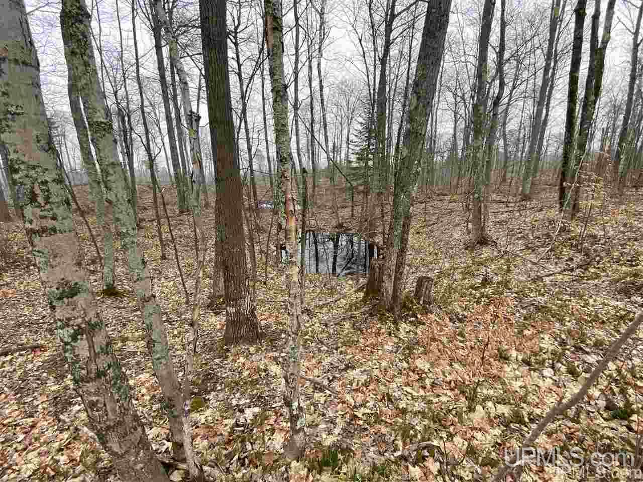 Tbd Plains Cutoff Road Baraga, MI 49908 - Photo 8 of 49