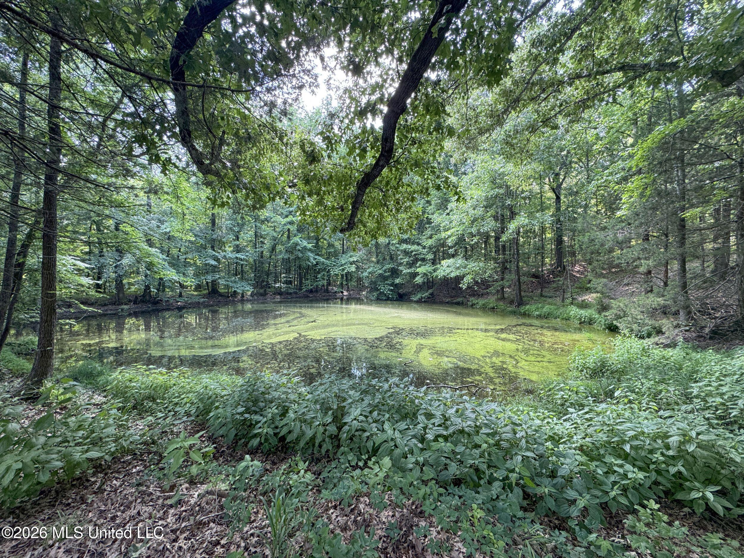 884 Avant Road Crenshaw, MS 38621 - Photo 142 of 154 6dbyicr95