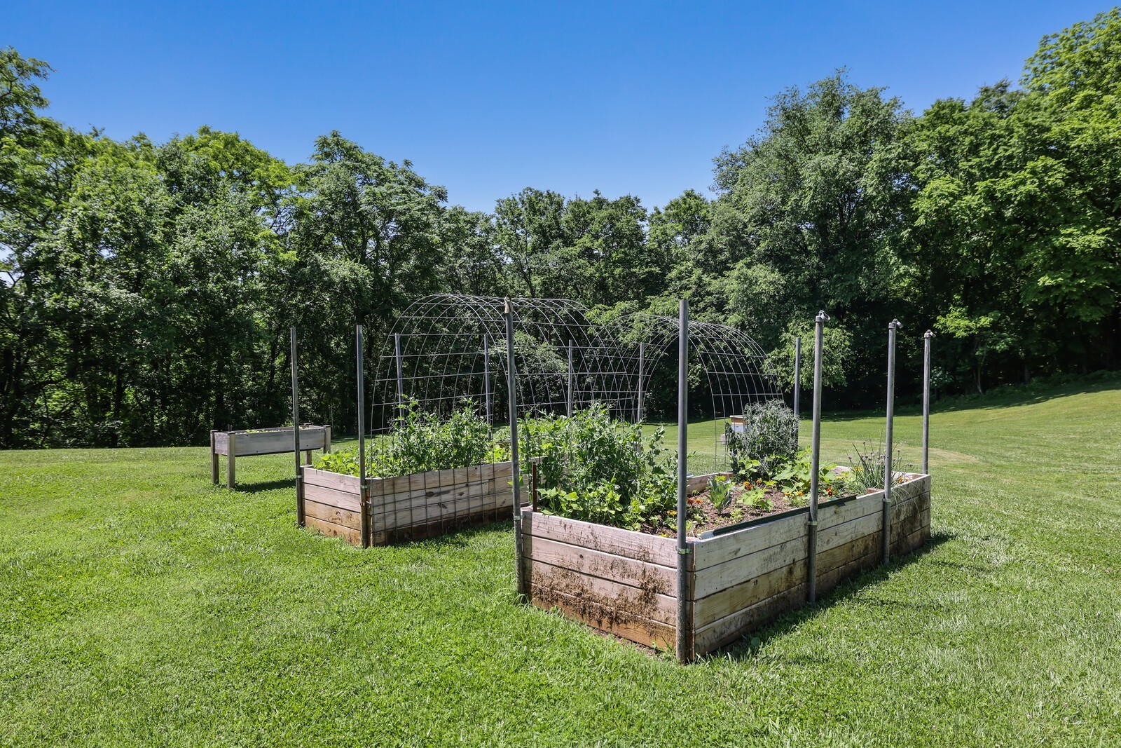 2219 Mack Benderman Road Culleoka, TN 38451 - Photo 34 of 40 a view of a garden with plants