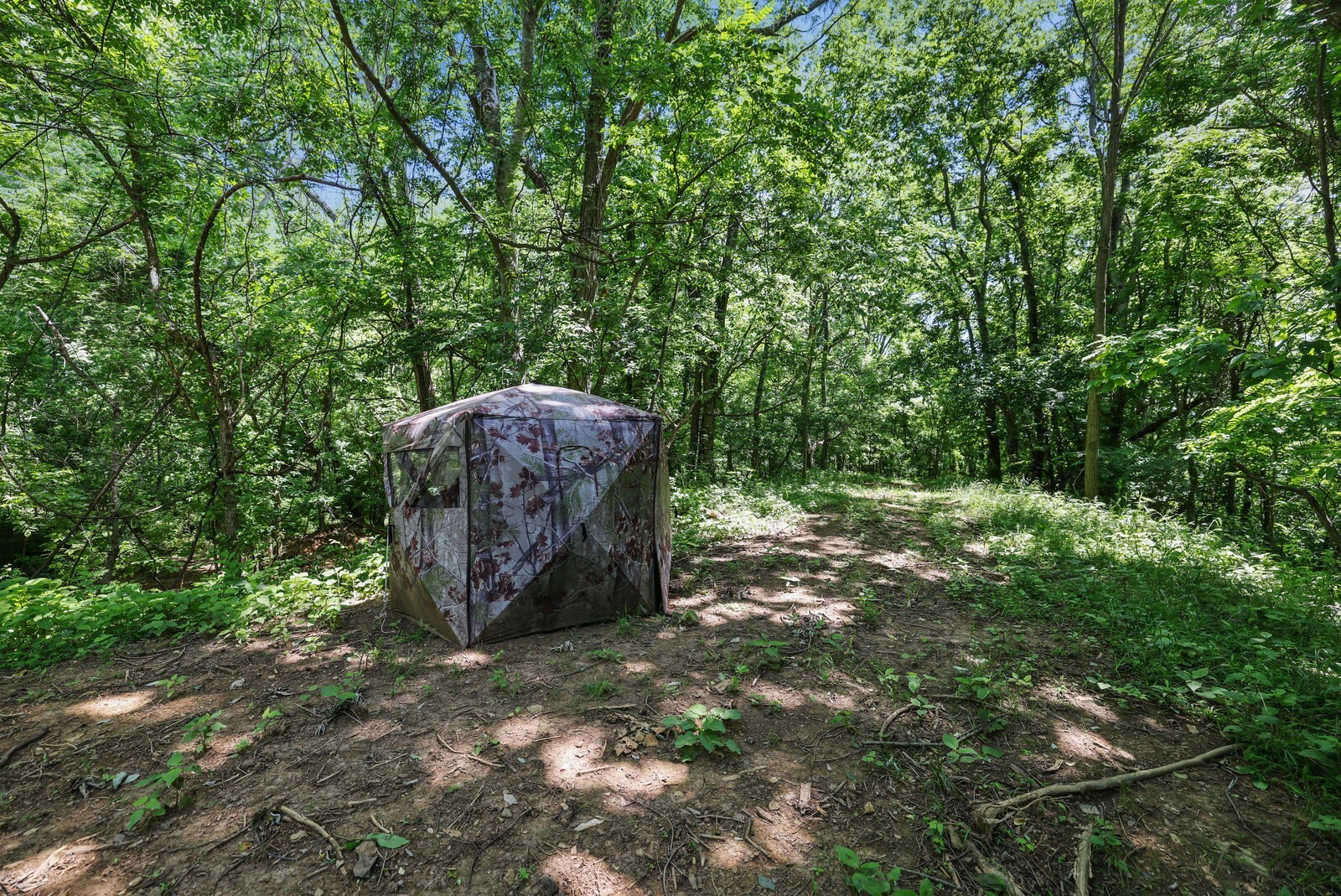 2219 Mack Benderman Road Culleoka, TN 38451 - Photo 36 of 40 a view of a backyard with plants and large trees