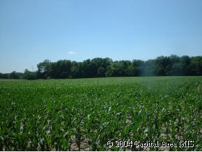 2 R R Free Road Greenview, IL 62642 - Photo 7 of 9