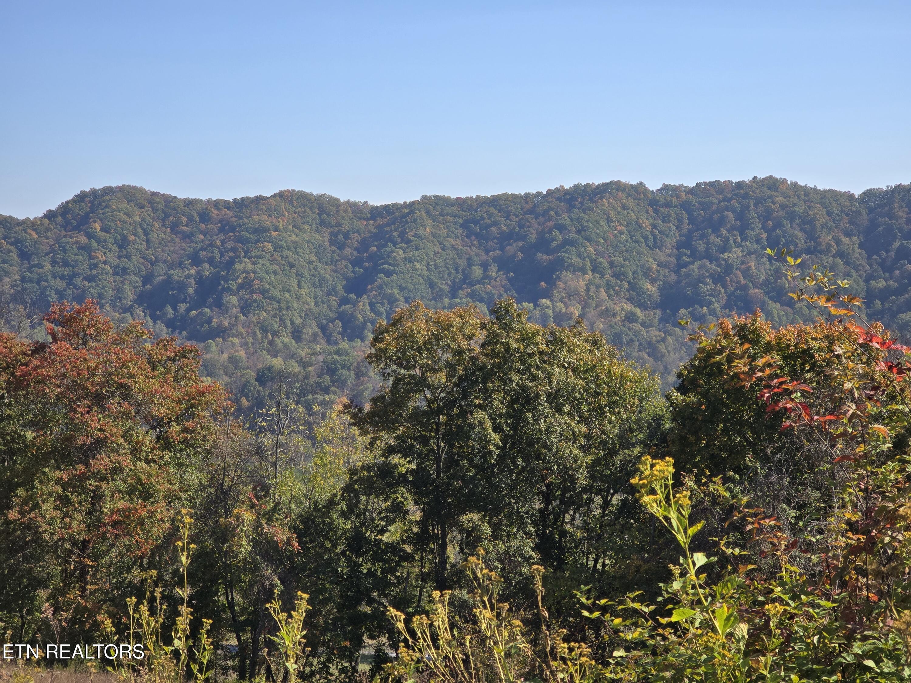 Tbd Copper Ridge Road Eidson, TN 37731 - Photo 2 of 49 20251018_143703