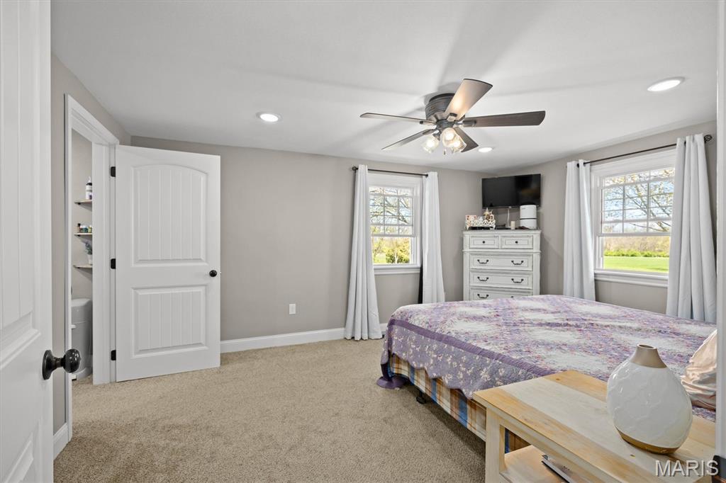 21510 Keyesport Road Keyesport, IL 62253 - Photo 21 of 40