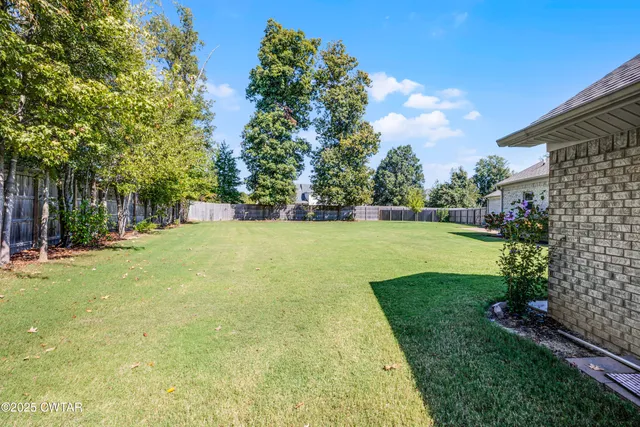a view of a park with large trees