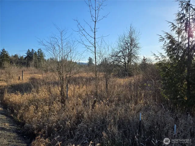 $79,900 | 40310 Eatonville Cutoff Road East, Eatonville, WA 98328