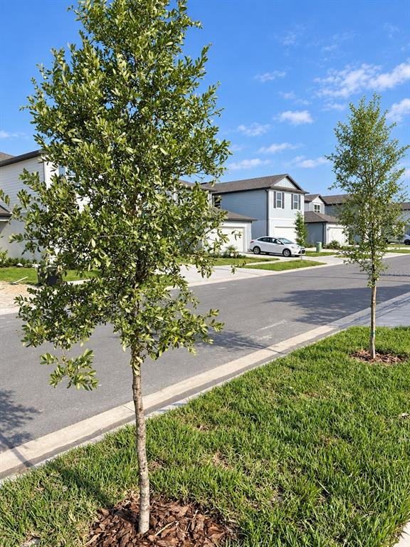 9469 Rally Spring Loop Wesley Chapel, FL 33545 - Photo 3 of 24 Gallery Image 3
