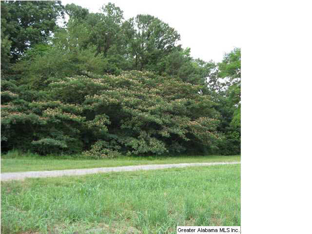 3661 Vann Road Trussville, AL 35173 - Photo 1 of 2